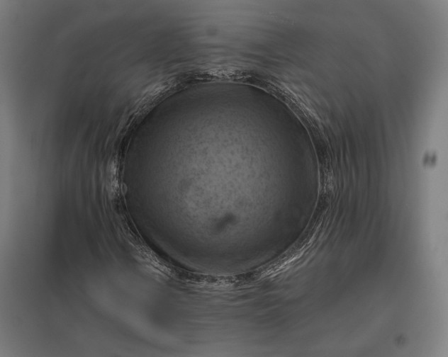 X0000097831106200803281154