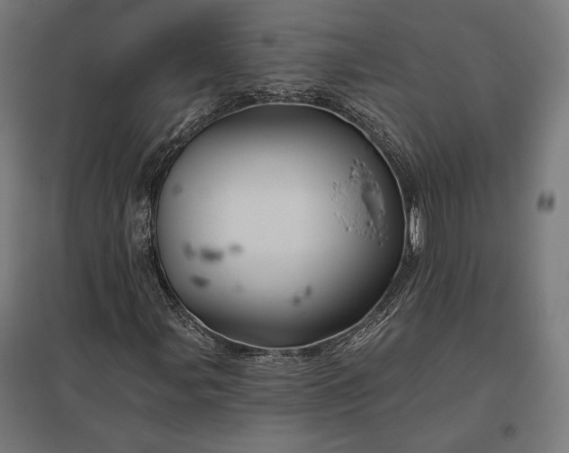 X0000097831107200803281154