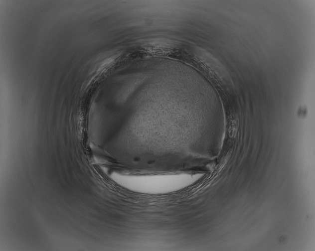 X0000097831108200803281154