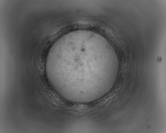 X0000097831109200803281154