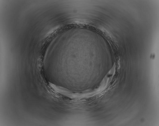 X0000097831110200803281154