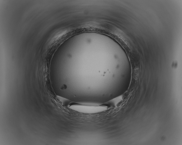 X0000097831111200803281154