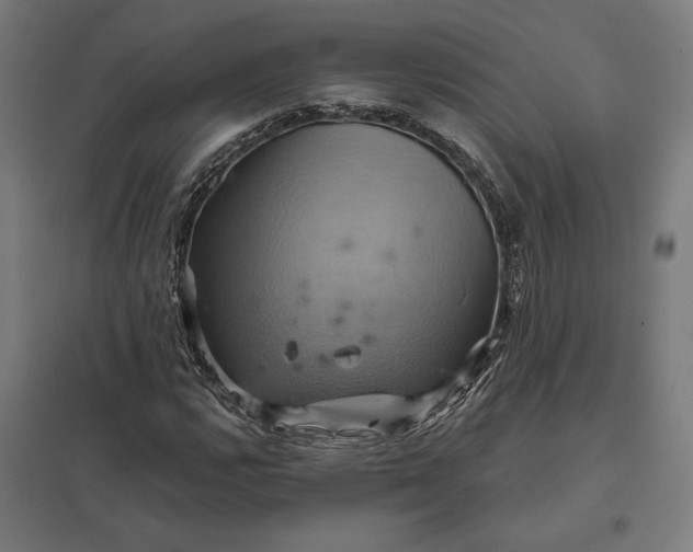 X0000097831112200803281154