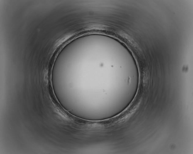 X0000097831113200803281154