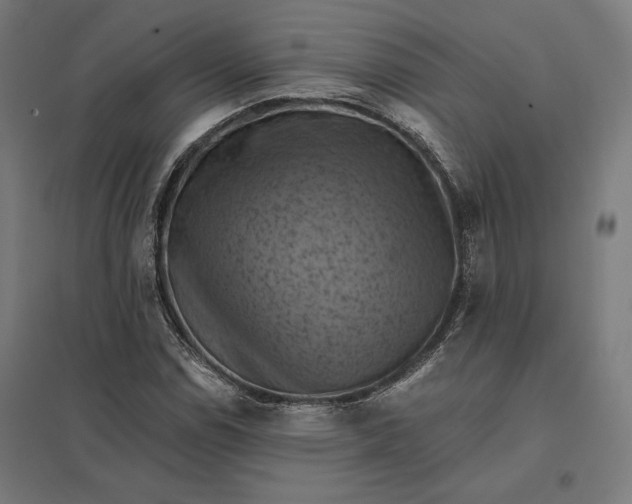 X0000097831114200803281154