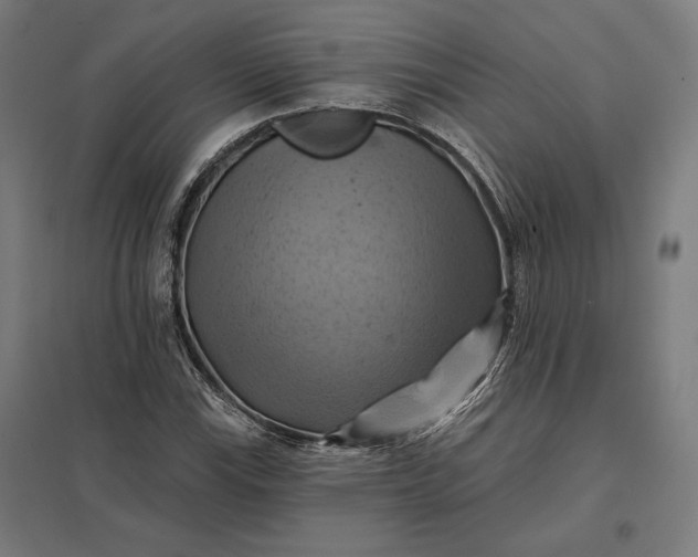 X0000097831115200803281154