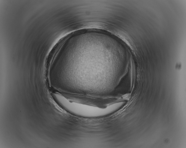 X0000097831116200803281154