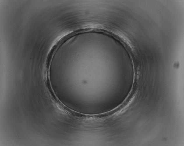 X0000097831117200803281154