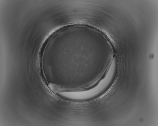 X0000097831118200803281154