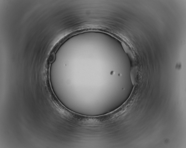 X0000097831119200803281154