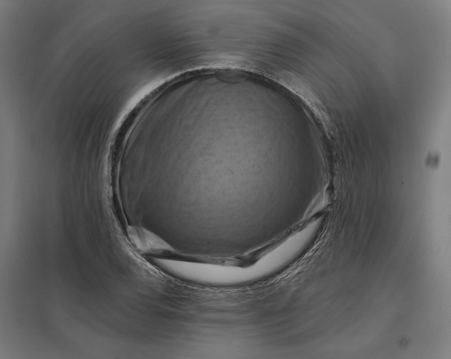 X0000097831120200803281154