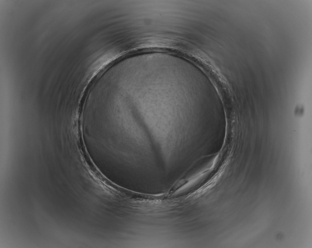 X0000097831121200803281154