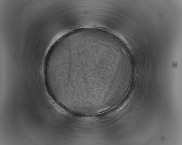 X0000097831122200803281154