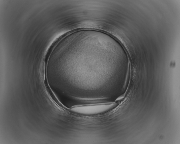 X0000097831123200803281154