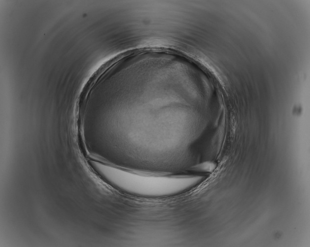 X0000097831124200803281154