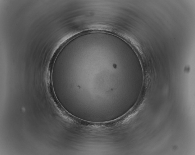 X0000097831125200803281154