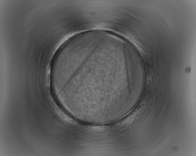 X0000097831126200803281154