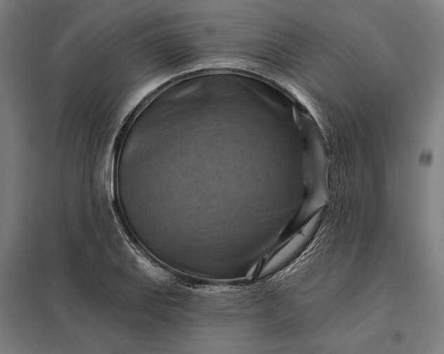 X0000097831127200803281154