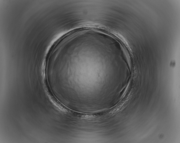 X0000097831128200803281154