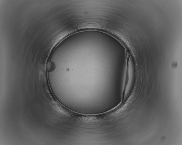 X0000097831129200803281154