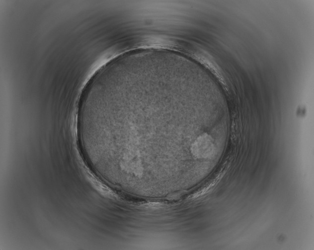 X0000097831130200803281154