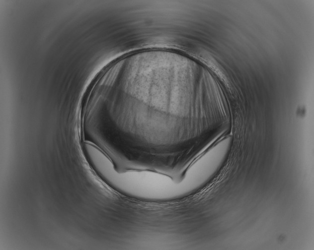 X0000097831132200803281154