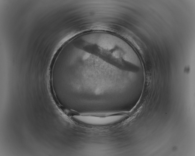 X0000097831133200803281154