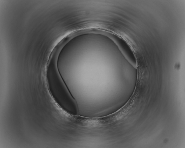 X0000097831134200803281154