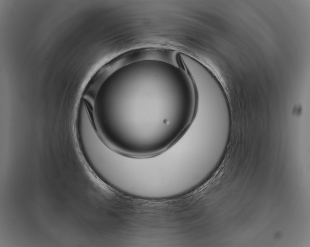 X0000097831136200803281154