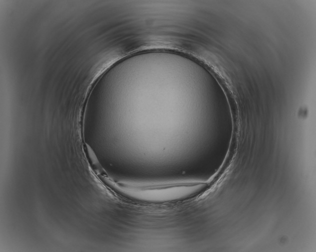 X0000097831137200803281154