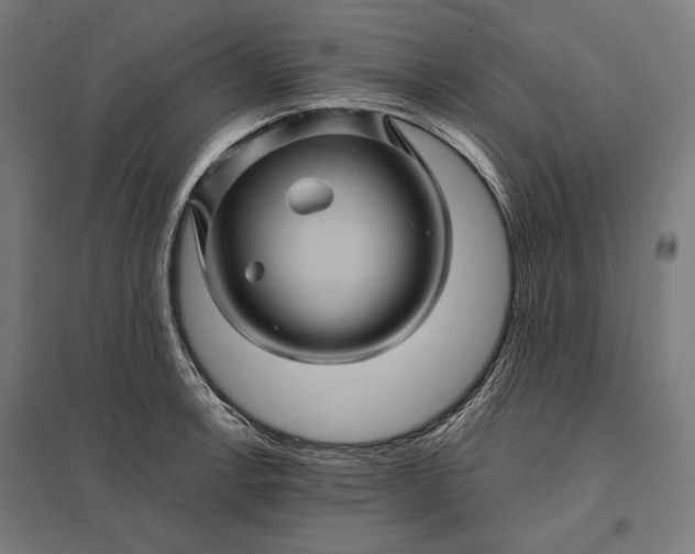 X0000097831138200803281154