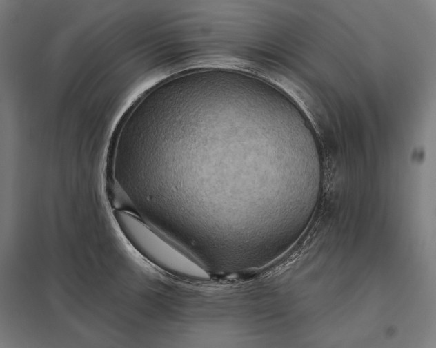 X0000097831139200803281154