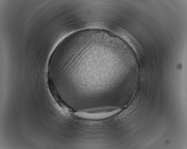 X0000097831140200803281154