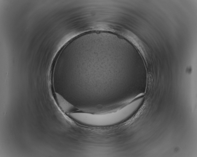 X0000097831141200803281154