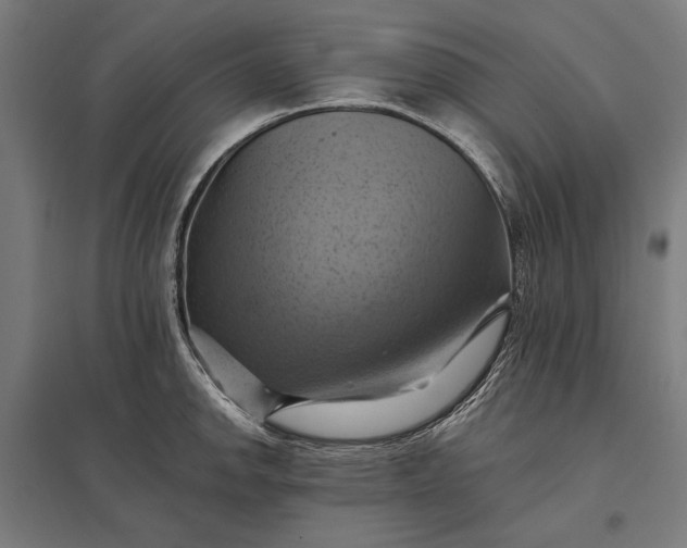 X0000097831142200803281154