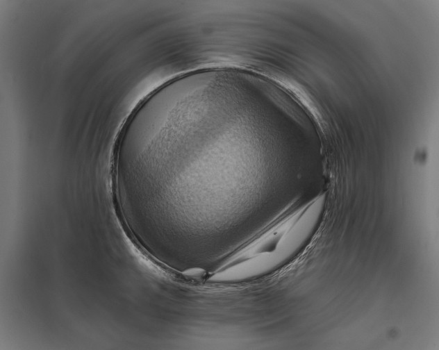 X0000097831143200803281154