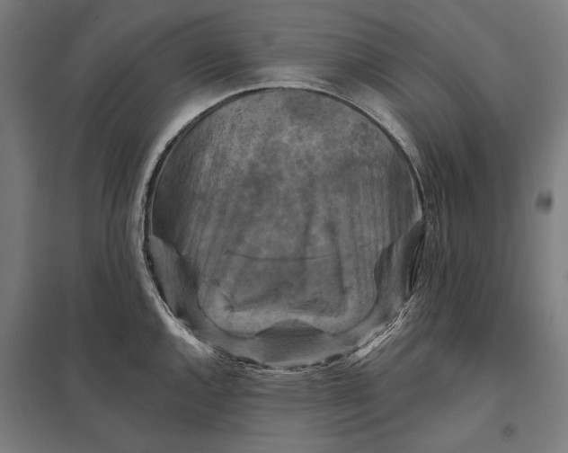 X0000097831144200803281154