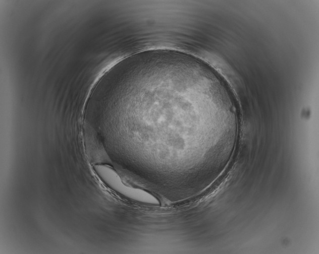 X0000097831145200803281154