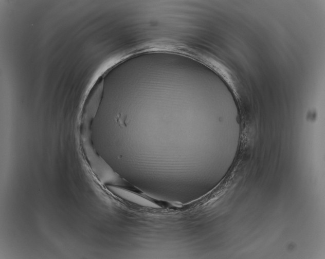 X0000097831146200803281154