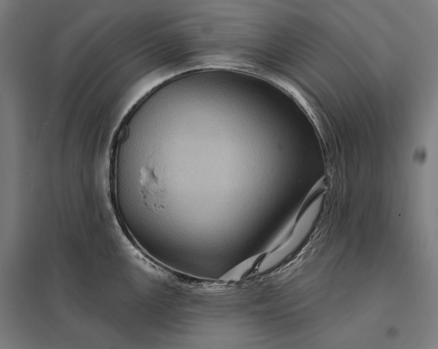 X0000097831147200803281154