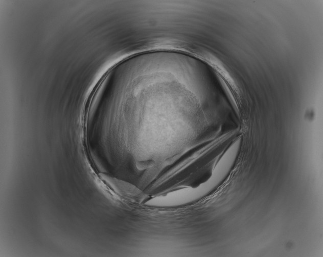 X0000097831148200803281154