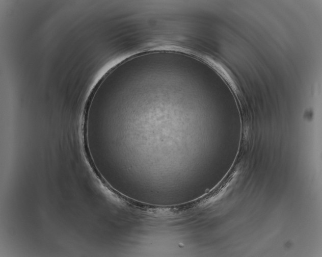 X0000097831149200803281154