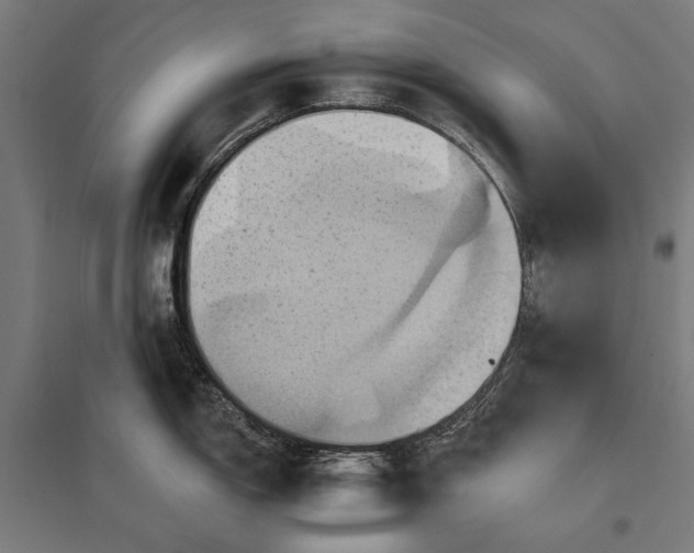 X0000097831150200803281154