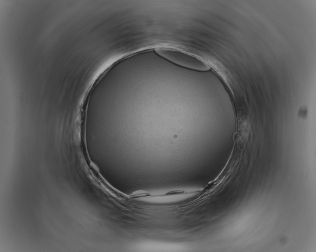 X0000097831151200803281154