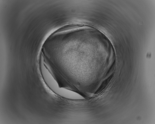 X0000097831152200803281154