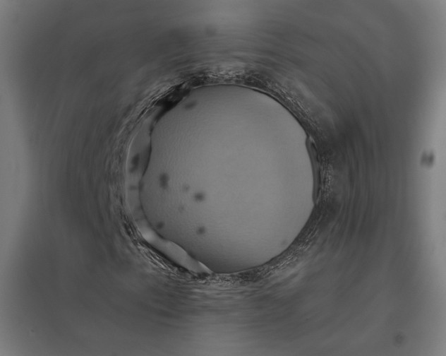 X0000097831153200803281154