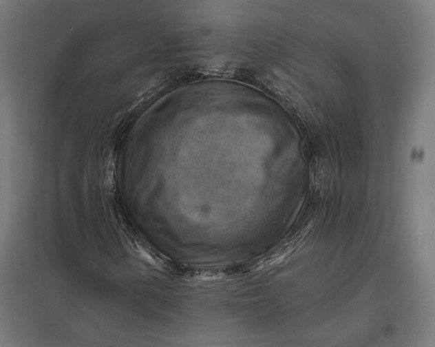 X0000097831154200803281154