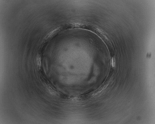 X0000097831155200803281154