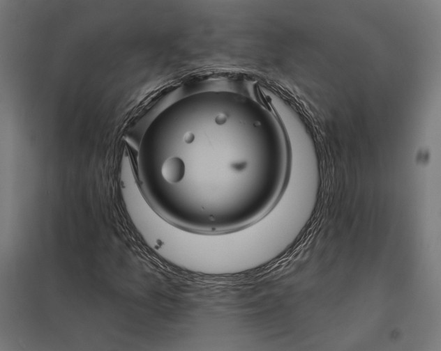 X0000097831157200803281154