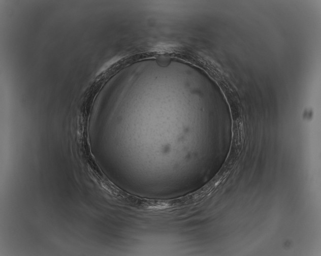 X0000097831158200803281154